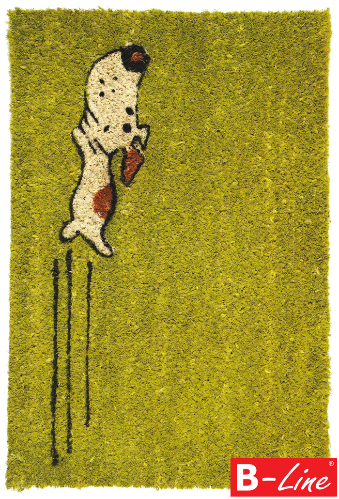 Rohožka Kokos Zelený pes