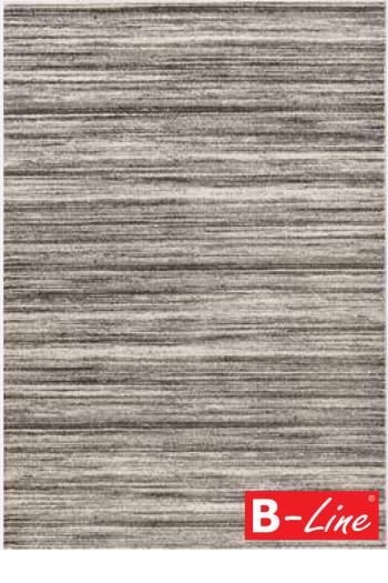 Kusový koberec Trendy 406 Silver
