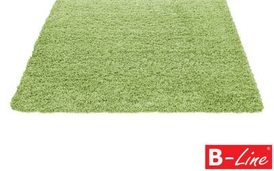 Kusový koberec Dream Shaggy 4000 Green